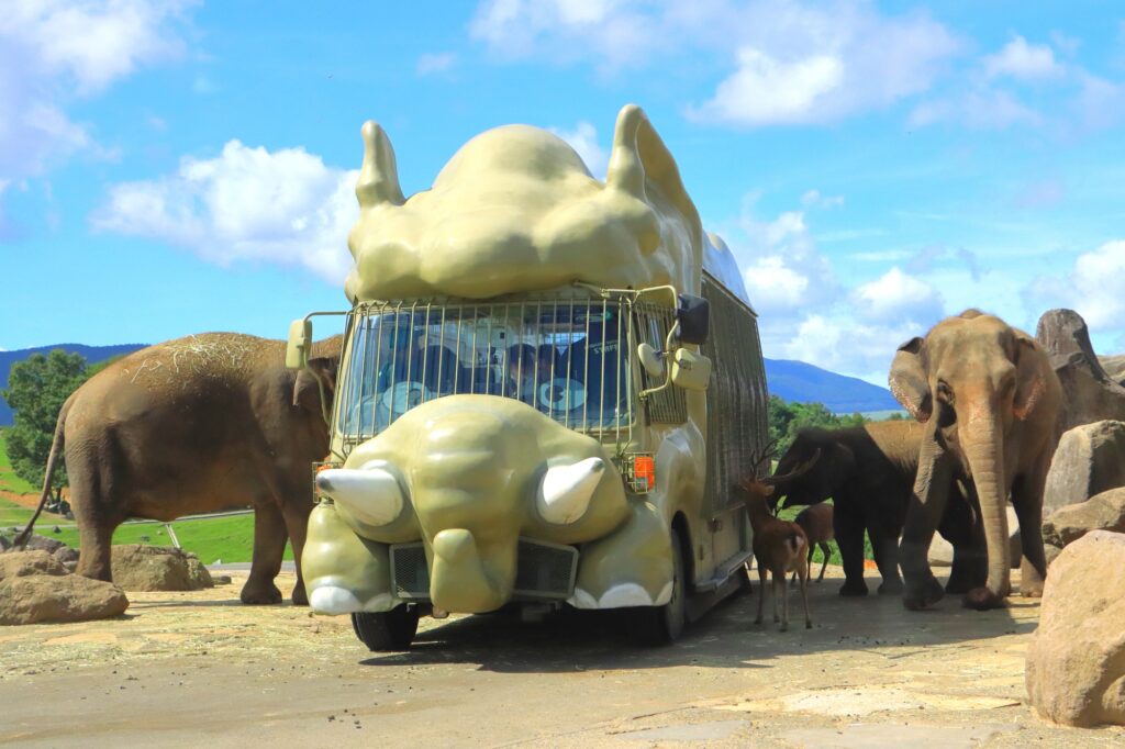 Iconic animal-shaped Jungle Bus at Kyushu African Safari in Oita - Japan Navi Journey
