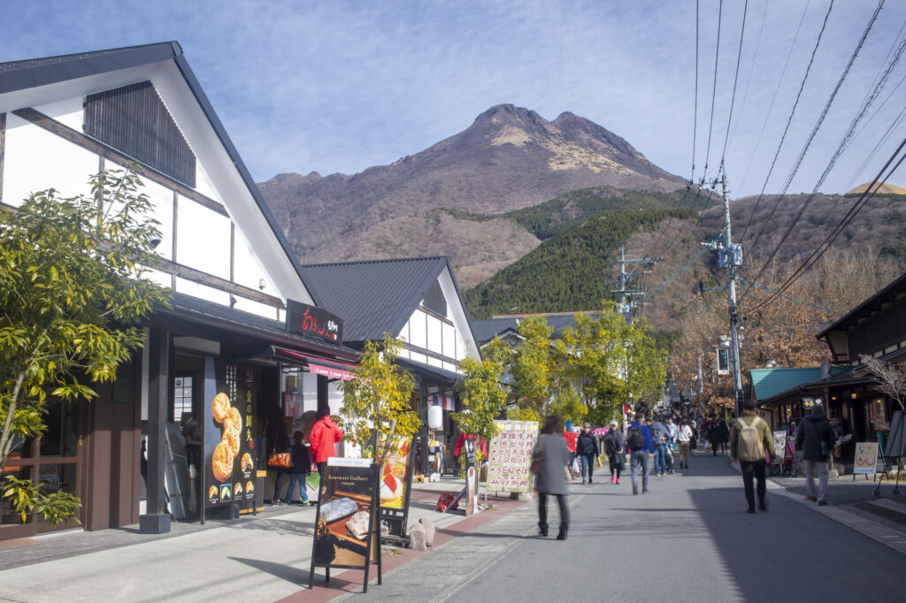 Charming traditional shops and lush summer greenery along Yunotsubo Kaido in Yufuin, Oita - Japan Navi Journey
