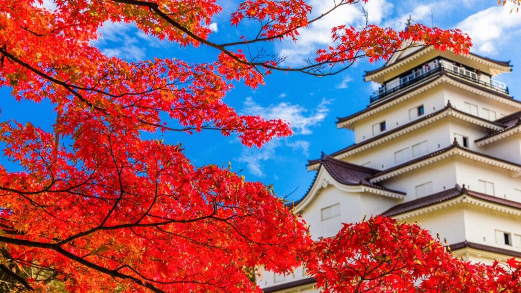 Autumn foliage at Tsurugajo Castle - Japan Navi Journey