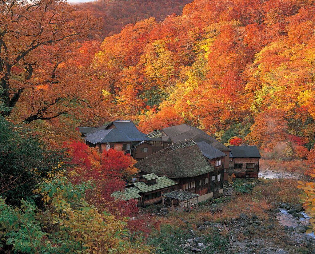 Nyuto Onsen - Tailor-Made Japan Experience with Japan Navi Journey