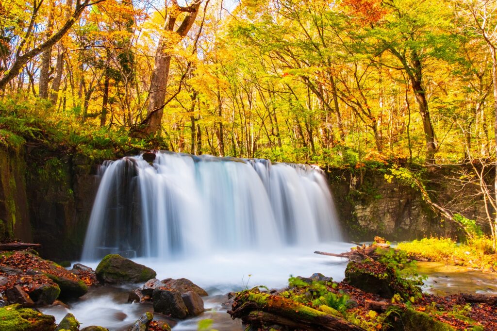 Oirase Autumn - Tailor-Made Japan Experience with Japan Navi Journey