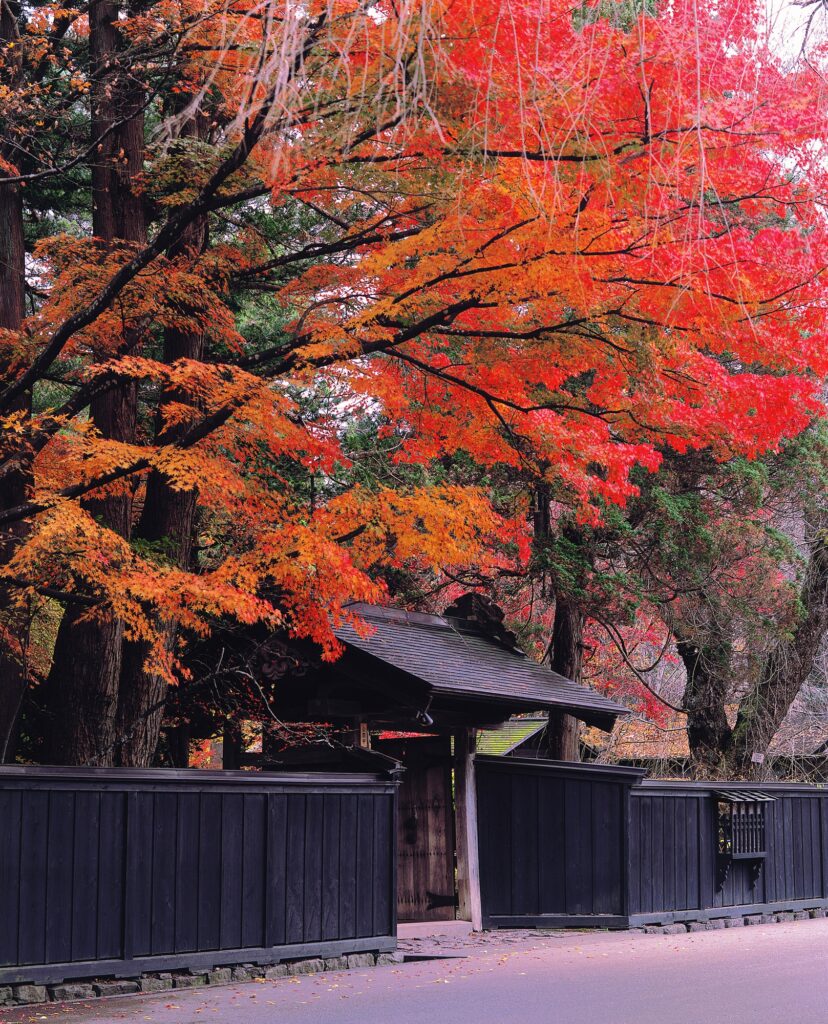Tohoku Autumn - Tailor-Made Japan Experience with Japan Navi Journey