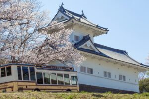 Aoba Castle