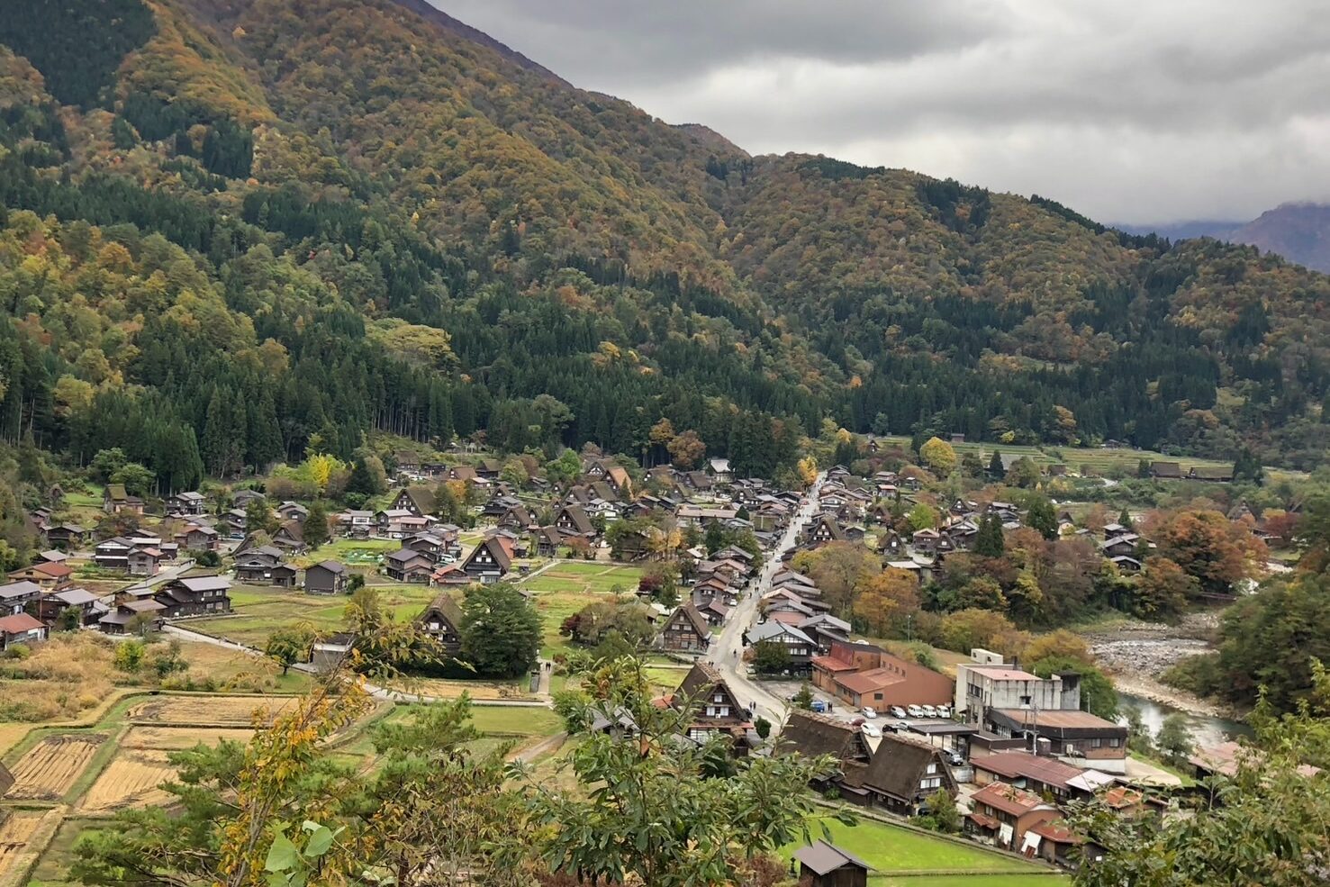 Local Japan experiences - Tailor-Made Japan Experience with Japan Navi Journey