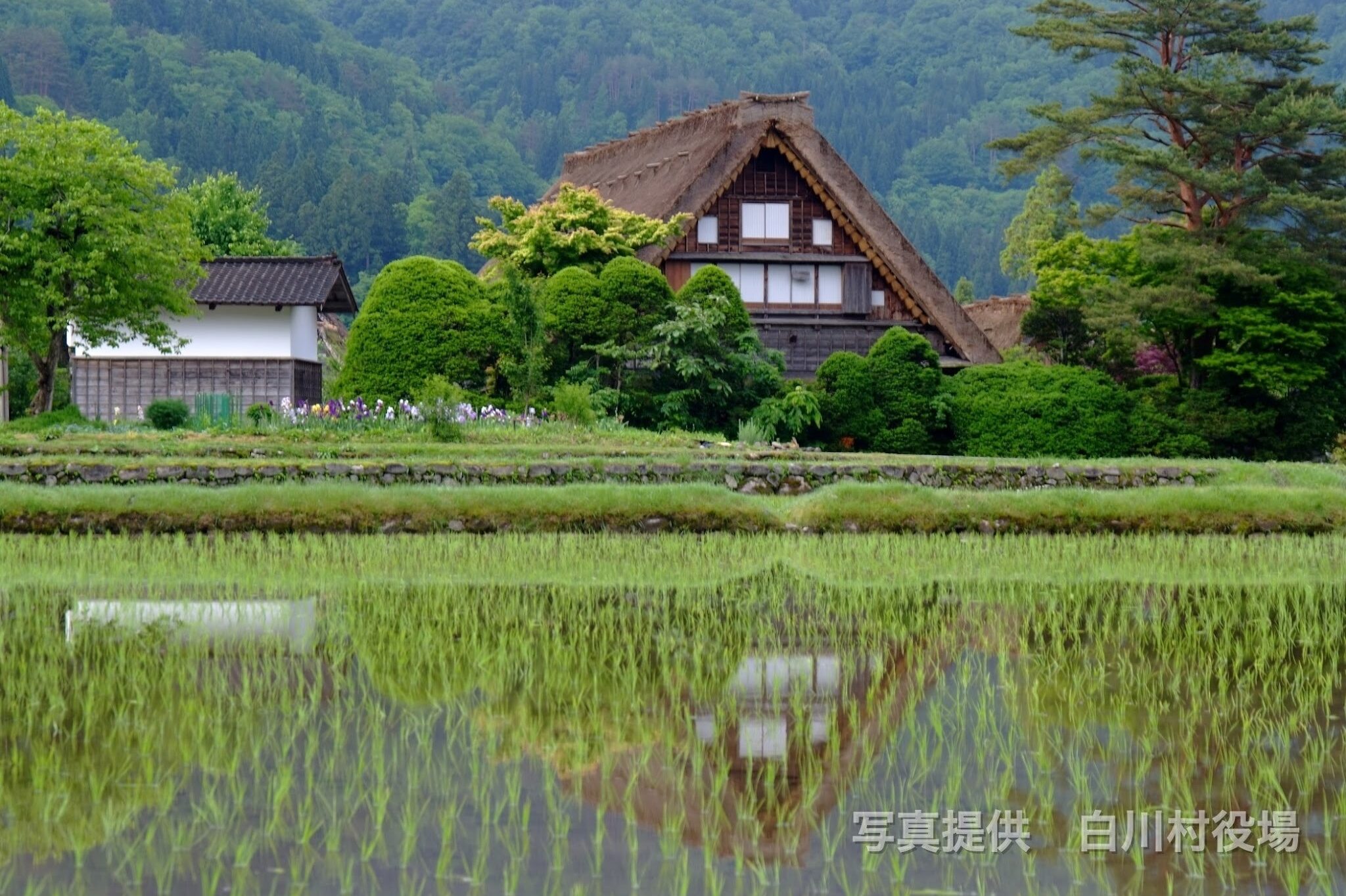 Shirakawa-go - Japan Navi Journey