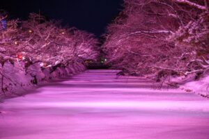 Hirosaki and Hakodate in Winter: A 4 Day Itinerary from Aomori to Hokkaido image